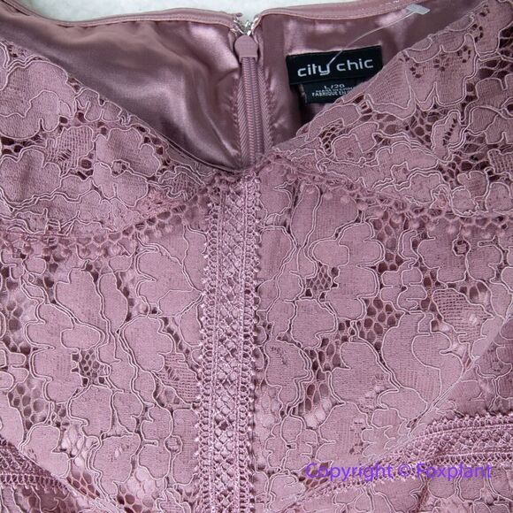 New! City Chic Women's Plus Size Angel Lace‎ Dress Rose, size 20 - Picture 5 of 16